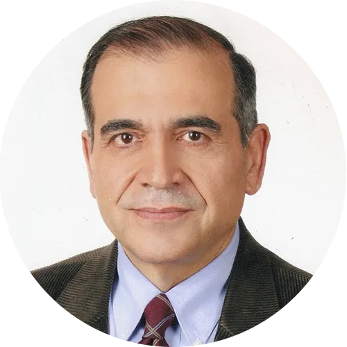 Prof. Dr. Mustafa Erdik