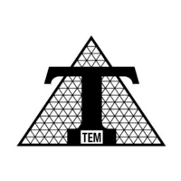 TEM